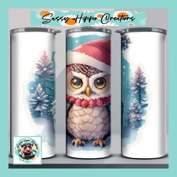 Skinny Tumbler Cute Owl in Hat Christmas Holidays Stainless-Steel 20oz Sublimate - Picture 1 of 7